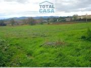 Terrenos Viana do Castelo Viana do Castelo DS97025096