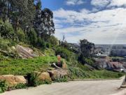 Terrenos Viana do Castelo Viana do Castelo DS98343775