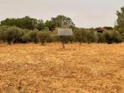 Terrenos Vidigueira Beja DS80722659