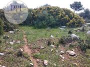 Terrenos Vila do Bispo Faro 8650 000 DS92588589
