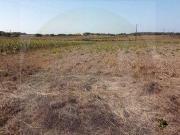 Terrenos Vila do Bispo Faro DS97105187