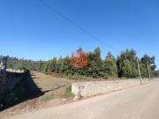 Terrenos Vila do Conde Porto DS82978587