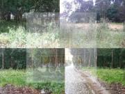 Terrenos Vila do Conde Vila do Conde DS90542371