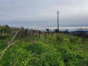 Terrenos Vila Franca de Xira Lisboa DS66606679