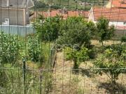 Terrenos Vila Franca de Xira Vila Franca de Xira DS92199164