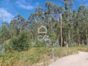 Terrenos Vila Nova de Famalicão Braga DS66636487