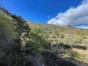 Terrenos Vila Nova de Foz Côa Guarda 5155 406 DS84272308