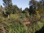 Terrenos Vila Nova de Gaia Porto DS83872671