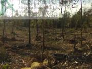 Terrenos Vila Nova de Gaia Vila Nova de Gaia DS90976903