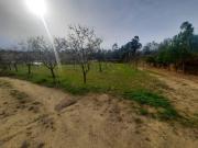 Terrenos Viseu Viseu DLS89004012