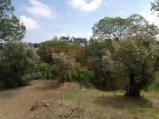 Terrenos Viseu Viseu DS93112745