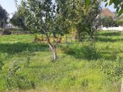 Terrenos Viseu Viseu DS98321557