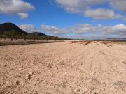 Terrenos Yecla Murcia 97012814