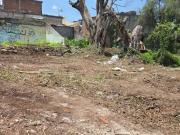 Terrero para construir en Jiquilpan