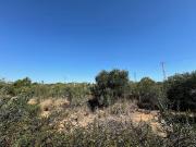 TERRERO RÚSTICO EN EL VENDRELL