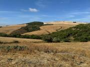 TERRERO RÚSTICO EN ZONA CARRETERA ARCOS ALGAR