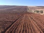 Terrian agricole à vendre
