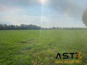 Tezze sul Brenta 56244mq