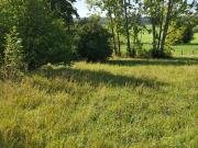 Villoncourt Vente Terrain 88