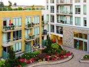 The Alexander The Alexander