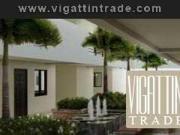 The Amaryllis by: dmci homes