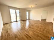 THE ARROW – Willkommen im Grünen Teil Simmerings