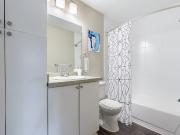 The Ava Apartments 2 Bedroom Apartment for Rent at 4902...