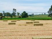 The Biggest Little Farm In Tamworth