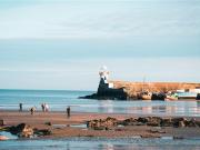 The Birch, Folkstown Park, Balbriggan, Dublin Glenveagh...