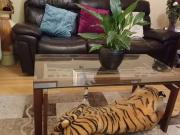 The Boulevard Cruise Park, Dublin