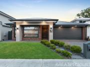 The Brief: Canopy Living, Perfected!