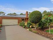 The Brief: Peace & Privacy Assured