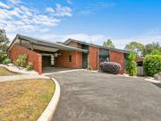 The Brief: THE FAMILY ENTERTAINER!