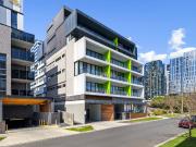 The Brief: The Location