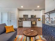 The Brynx 201 – 10