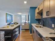 The Brynx 201 – 40