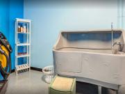 The Buckler by 3L Living Studio Apartment for Rent at...
