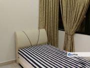 The Canal Garden South, Hills