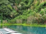 The Cove Hillside Residence