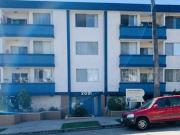 The DRACENA Apts 1 Bed / 1 Bath