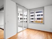 The dream apartment is looking for new tenants