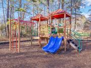 The Element Apartments 1 Bedroom Apartment for Rent at...