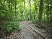 The Elmwoods 1 Bedroom Apartment for Rent at 30 Elm Dr...