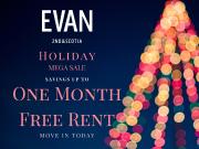 The Evan 1 Bedroom [object Promise] for Rent