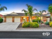 The Family Entertainer You've Been Waiting For!