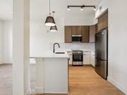 The Griffin S2 The Griffin S2