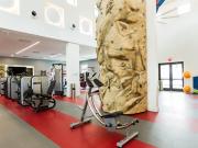 The Harbor The Charleston