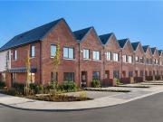 The Heather, The Blossoms At Tandy's Lane,...