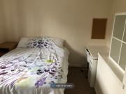 The Hedgerows, Norwich NR5, 5 bed detached house to rent...