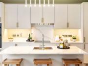 The Iris, The Blossoms At Tandy's Lane, Adamstown,...